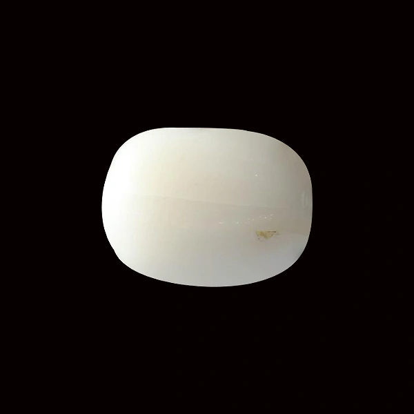 White Coral - 13.98 carats